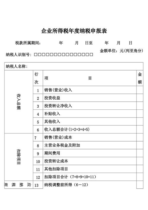 企业所得税年度纳税申报表 b类