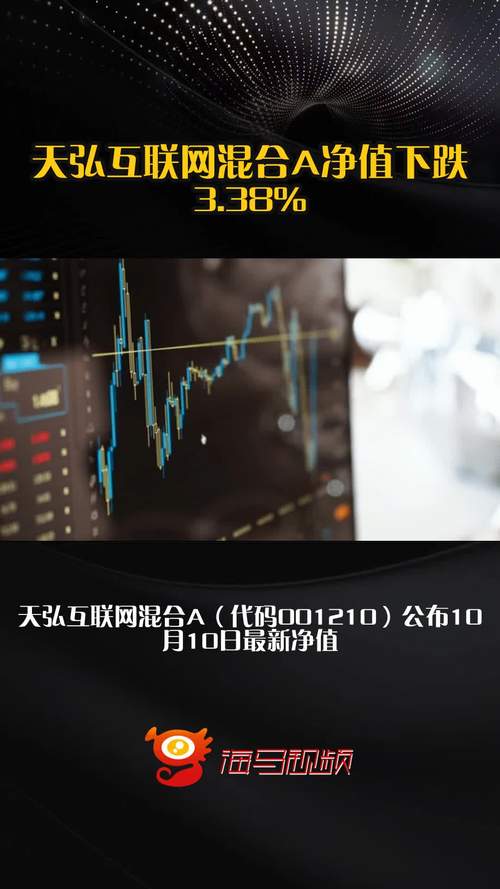 天弘互联网基金001210今日净值