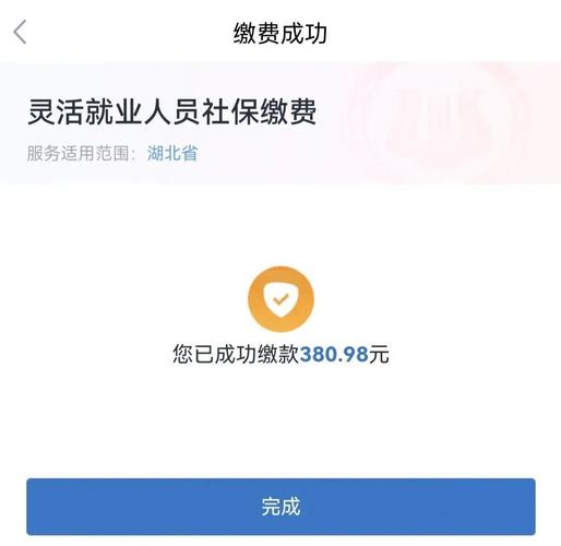 新疆税务企业社保缴纳app