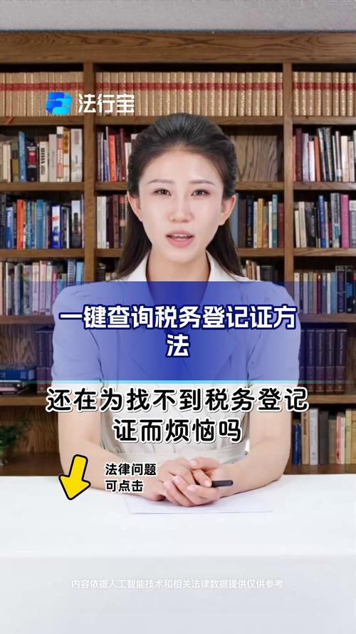 湖南shuiwu局企业查询