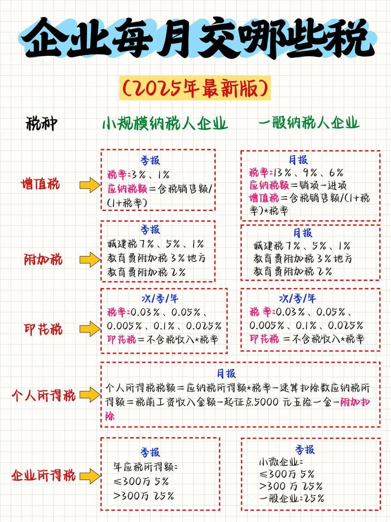 企业所得税b类 2025年