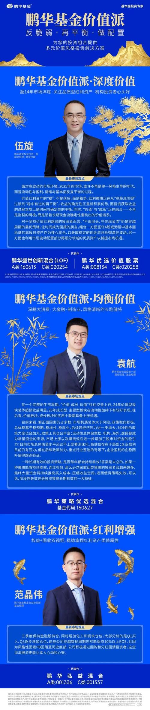 206009鹏华新兴产业基金