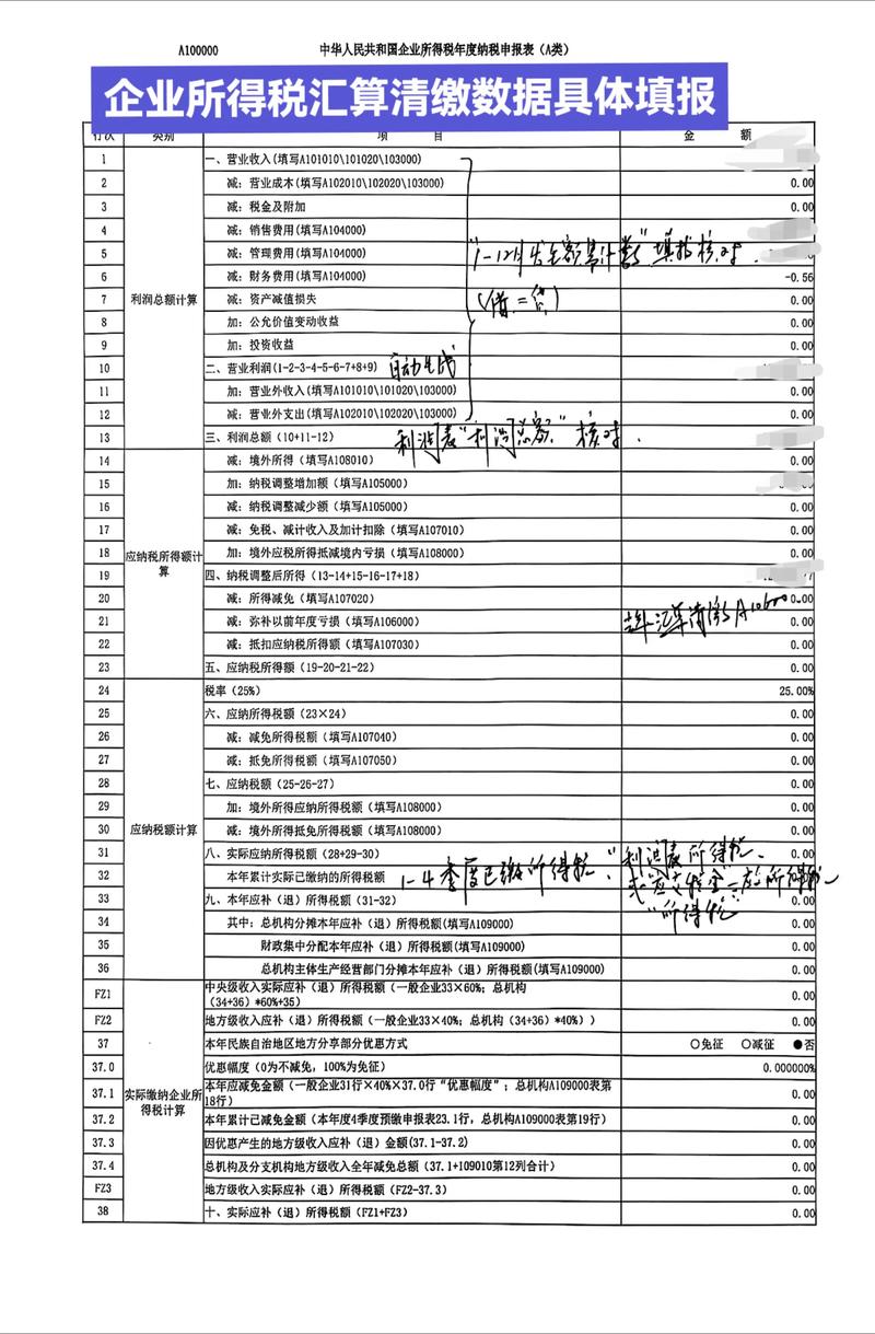 企业所得税年度汇算清缴表