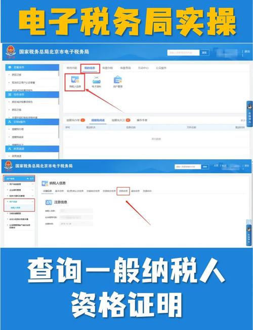 北京企业纳税人状态查询
